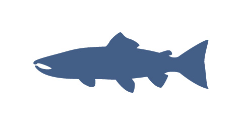 Sacramento Fishing Guide Service