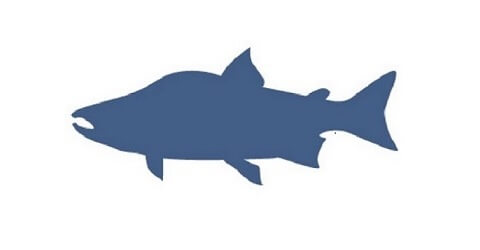 Columbia River Fishing Guide