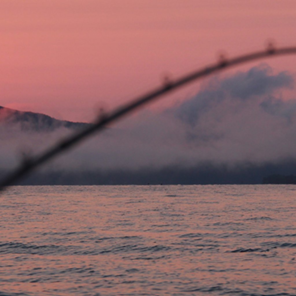 bouy 10 fishing guide service during sunrise
